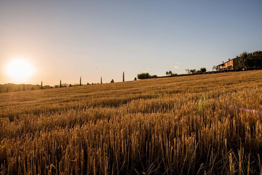 Agriturismo Il Tiro Castel del Piano  Bagian luar foto